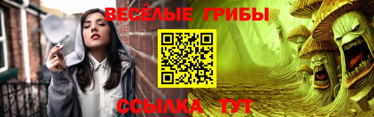Псилоцибиновые грибы прущие грибы  Псилоцибиновые грибы мухоморы  Вход с VPN  Вязники 